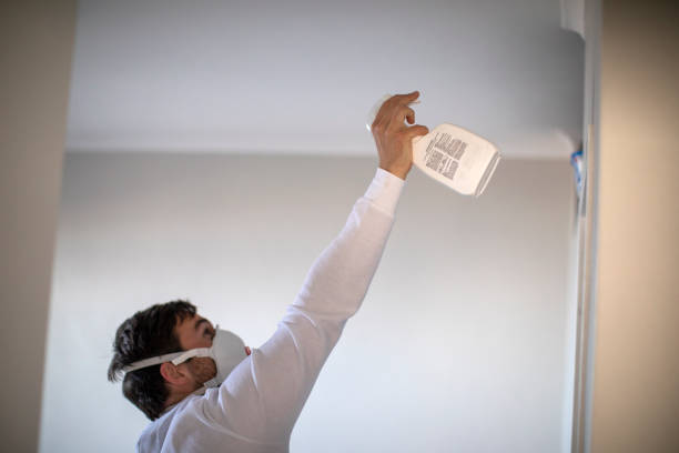 Best DIY Mold Remediation Support Services in Leonard, TX