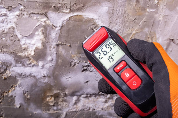 Best Mold Testing and Inspection Services in Leonard, TX