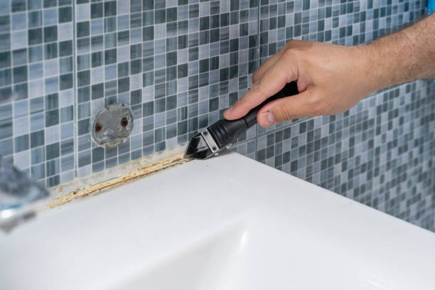 Best Kitchen Mold Remediation in Leonard, TX