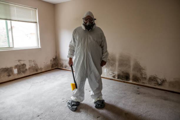 Best HVAC Mold Remediation in Leonard, TX